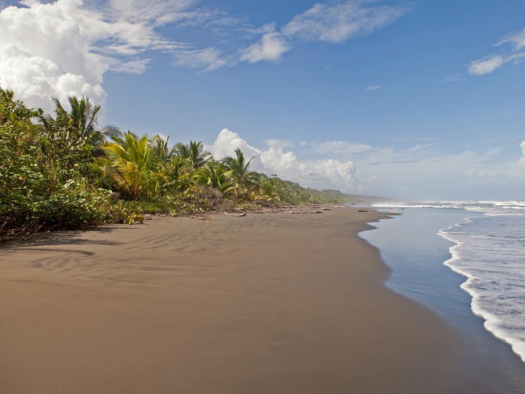 Hotel Caribbean Coconut Кахуіта Екстер'єр фото