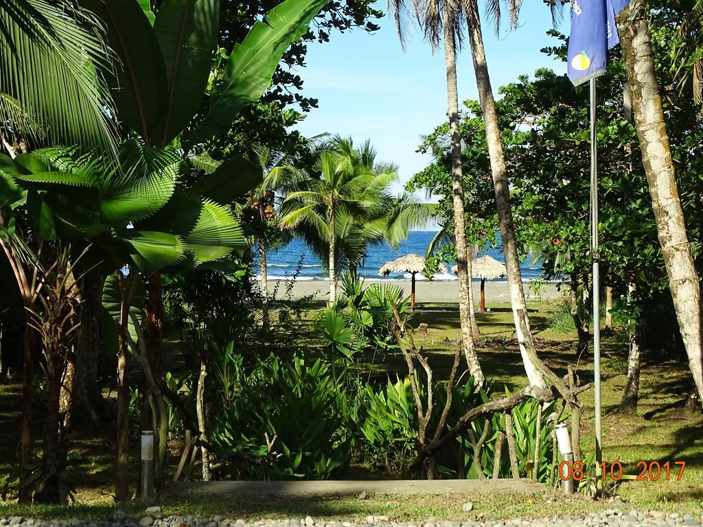 Hotel Caribbean Coconut Кахуіта Екстер'єр фото