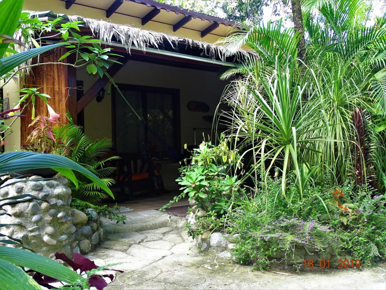 Hotel Caribbean Coconut Кахуіта Екстер'єр фото