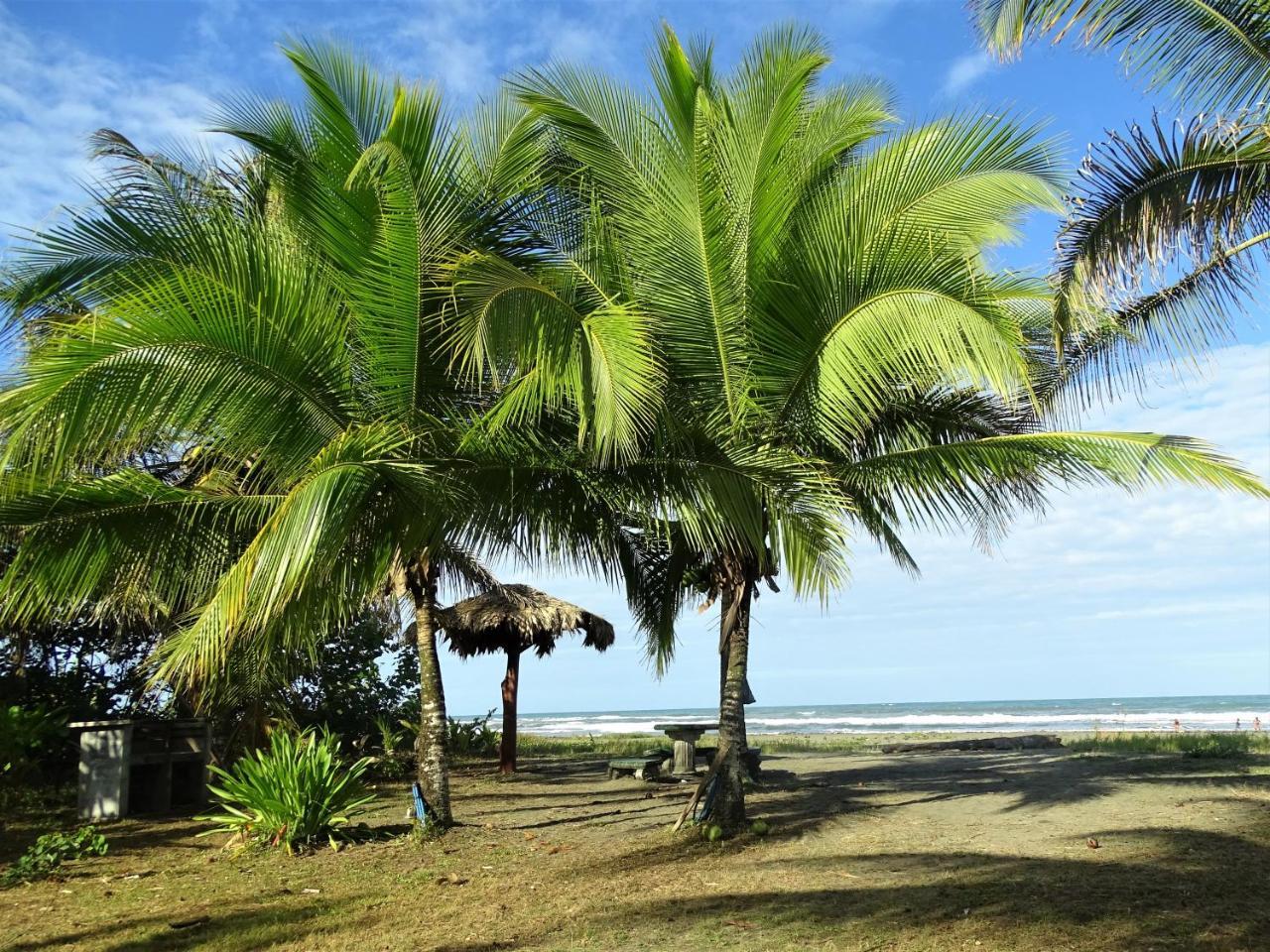 Hotel Caribbean Coconut Кахуіта Екстер'єр фото