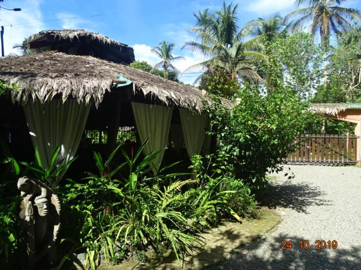 Hotel Caribbean Coconut Кахуіта Екстер'єр фото